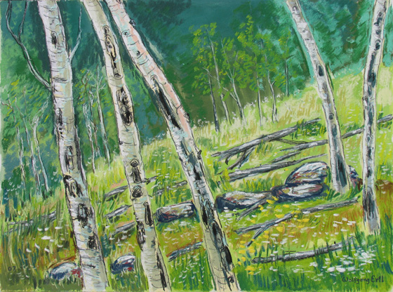 Aspen Grove 3